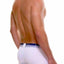 Unico White/Navy/Silver Incandescent Trunk
