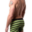 Unsimply Stitched Lime/Black Sunset-Stripe Trunk