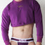 Vaux Purple Cotton Candy Cropped Sweater