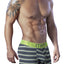 XTREMEN Grey/Neon-Green Striped Sport Performance Breathable Boxer Brie