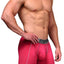 XTREMEN Red/Light-Grey Microfiber Boxer Brief