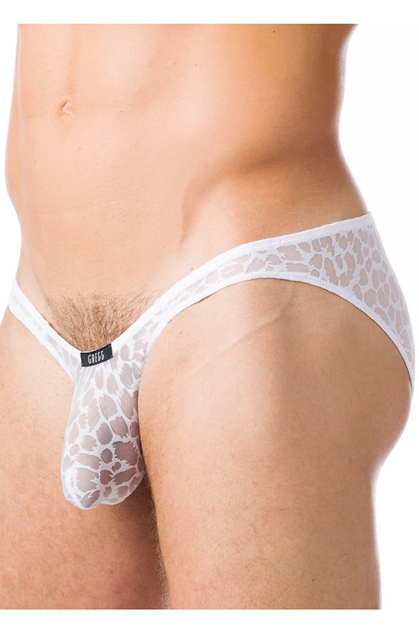 Gregg Homme White Appeal Brief