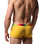 Papi Yellow Rainbow Brazilian Trunk