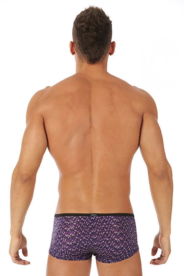 Gregg Homme Purple Celebration Boxer Brief