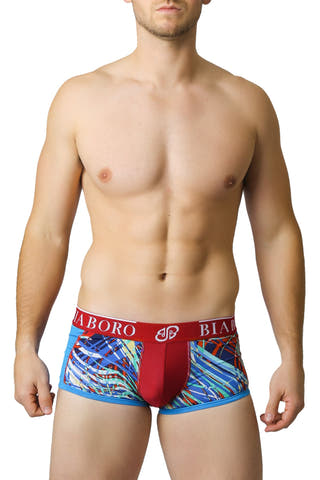 Light Blue & Red Bamboo Trunk