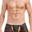 PetitQ Black Jaily Fly Boxer Brief