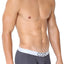 CORE Grey Modern Basic Trunk