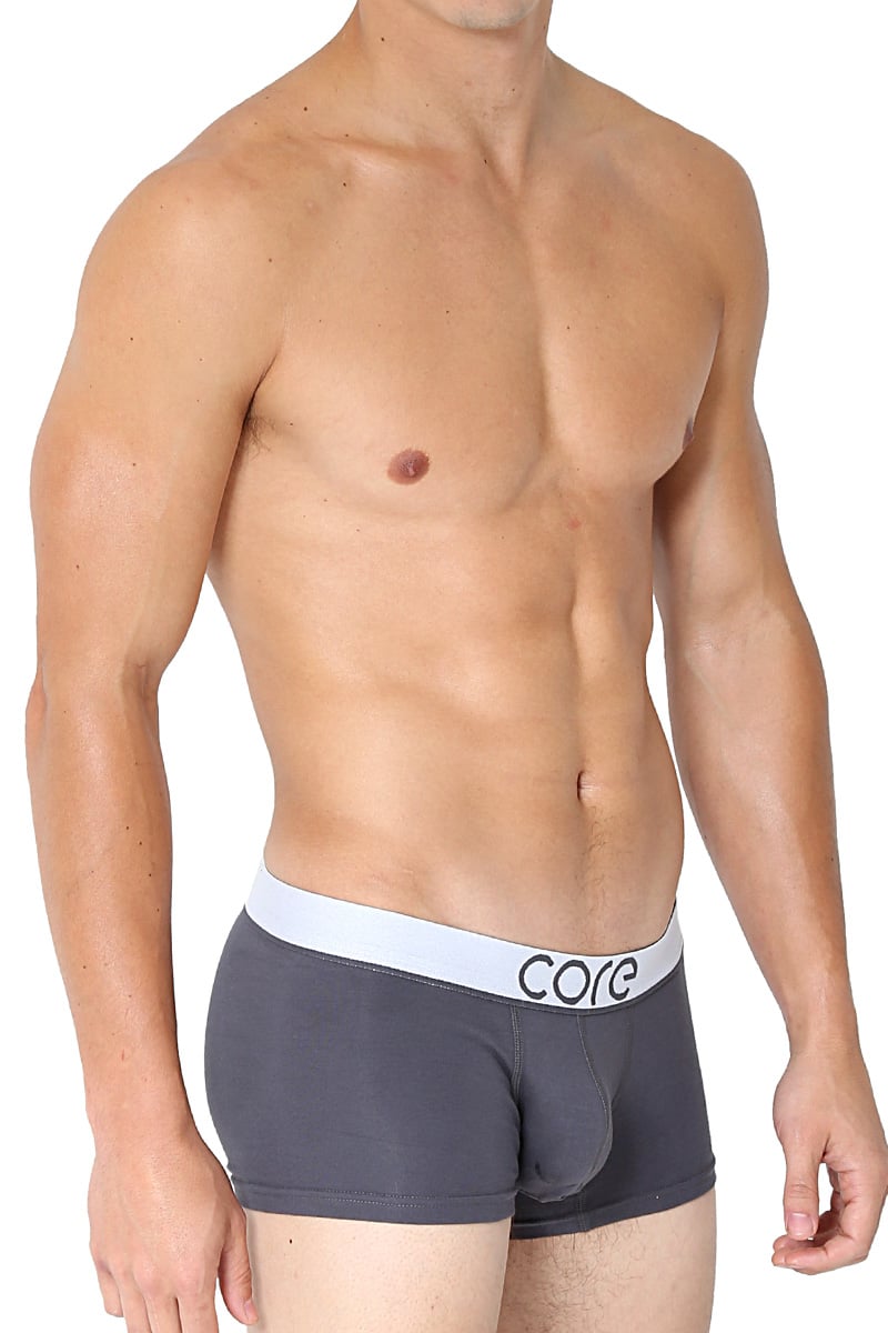 CORE Grey Modern Basic Trunk