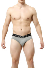 Core Grey Power Brief