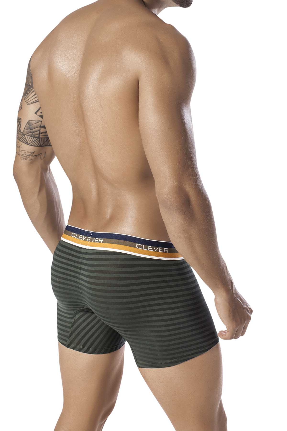 Clever Green Forbidden Desire Boxer