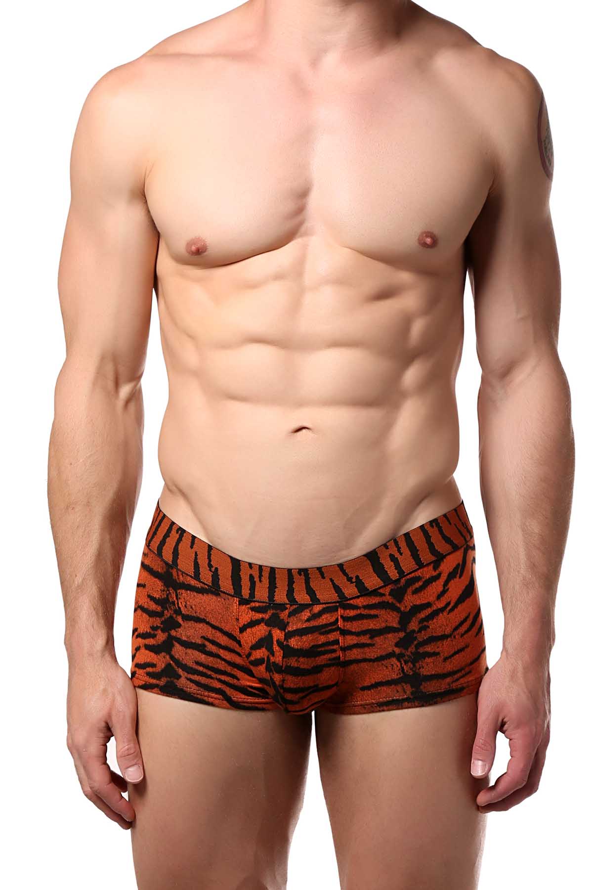 Doreanse Tiger-Print Low-Rise Trunk