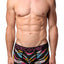 Discover Multi-Colored Zebra Trunk
