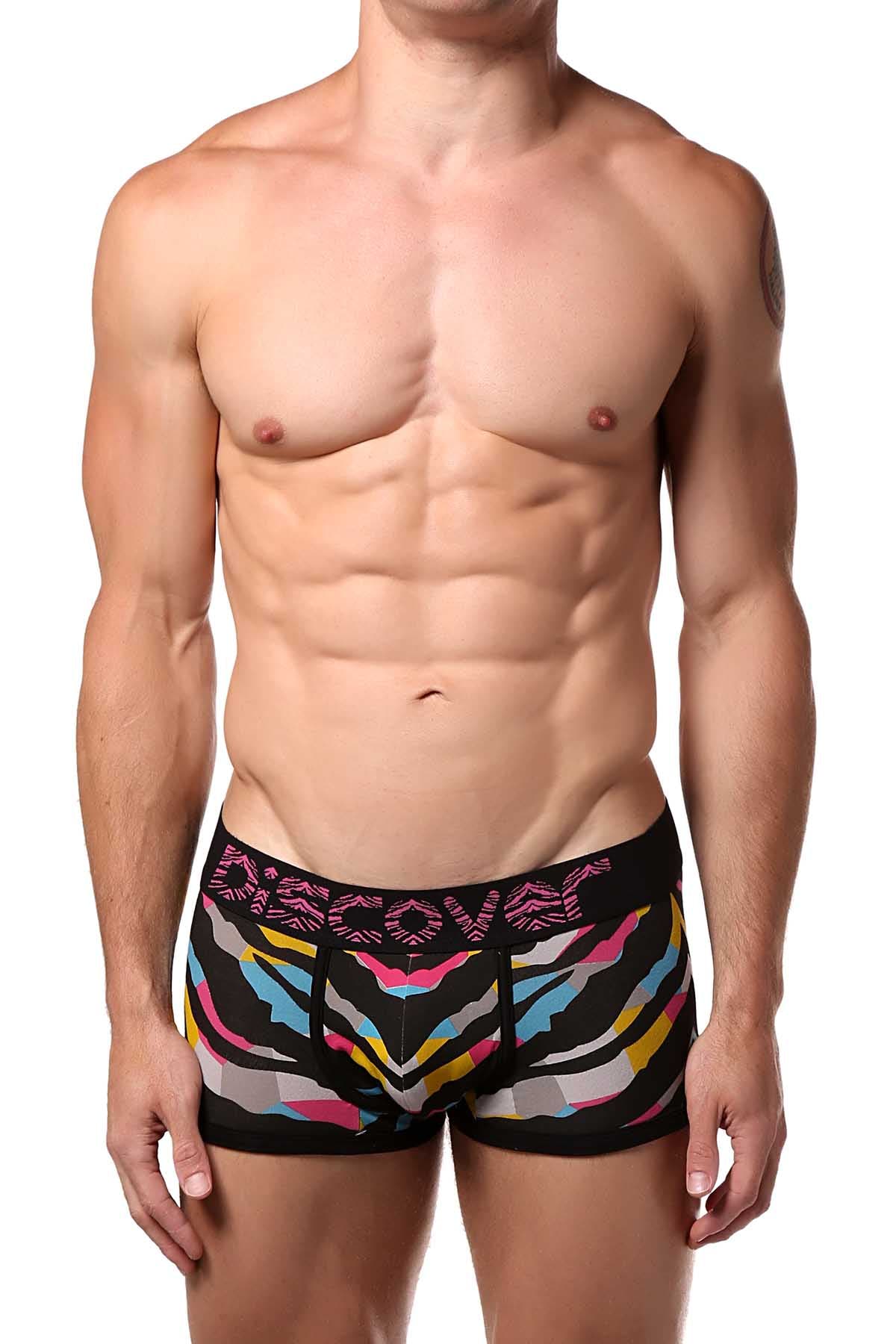 Discover Multi-Colored Zebra Trunk