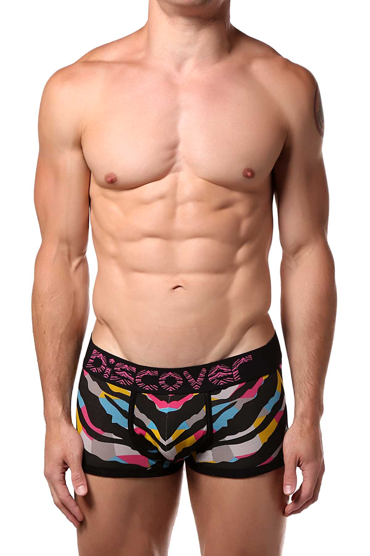 Discover Multi-Colored Zebra Trunk