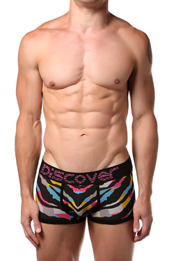 Discover Multi-Colored Zebra Trunk thumbnail 1