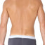 CORE Grey Modern Basic Trunk