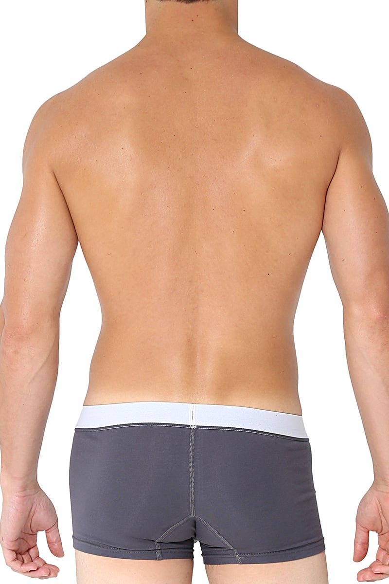 CORE Grey Modern Basic Trunk