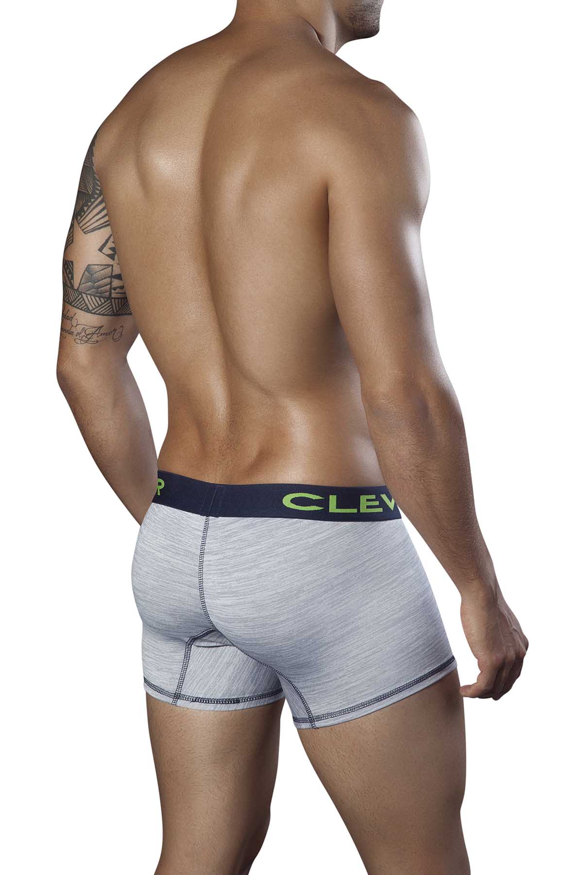 Clever Grey Jasper Boxer