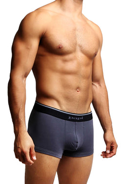 2-Pack Papi Grey Stripes Stretch Brazilian Trunks thumbnail 4