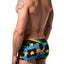 Discover Brazil Mini Trunk