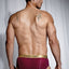 Gabriel Grey Cranberry Skin Brief