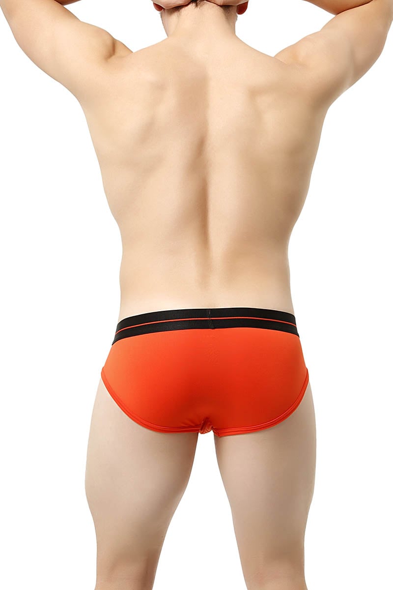 Core Deep Red Power Brief