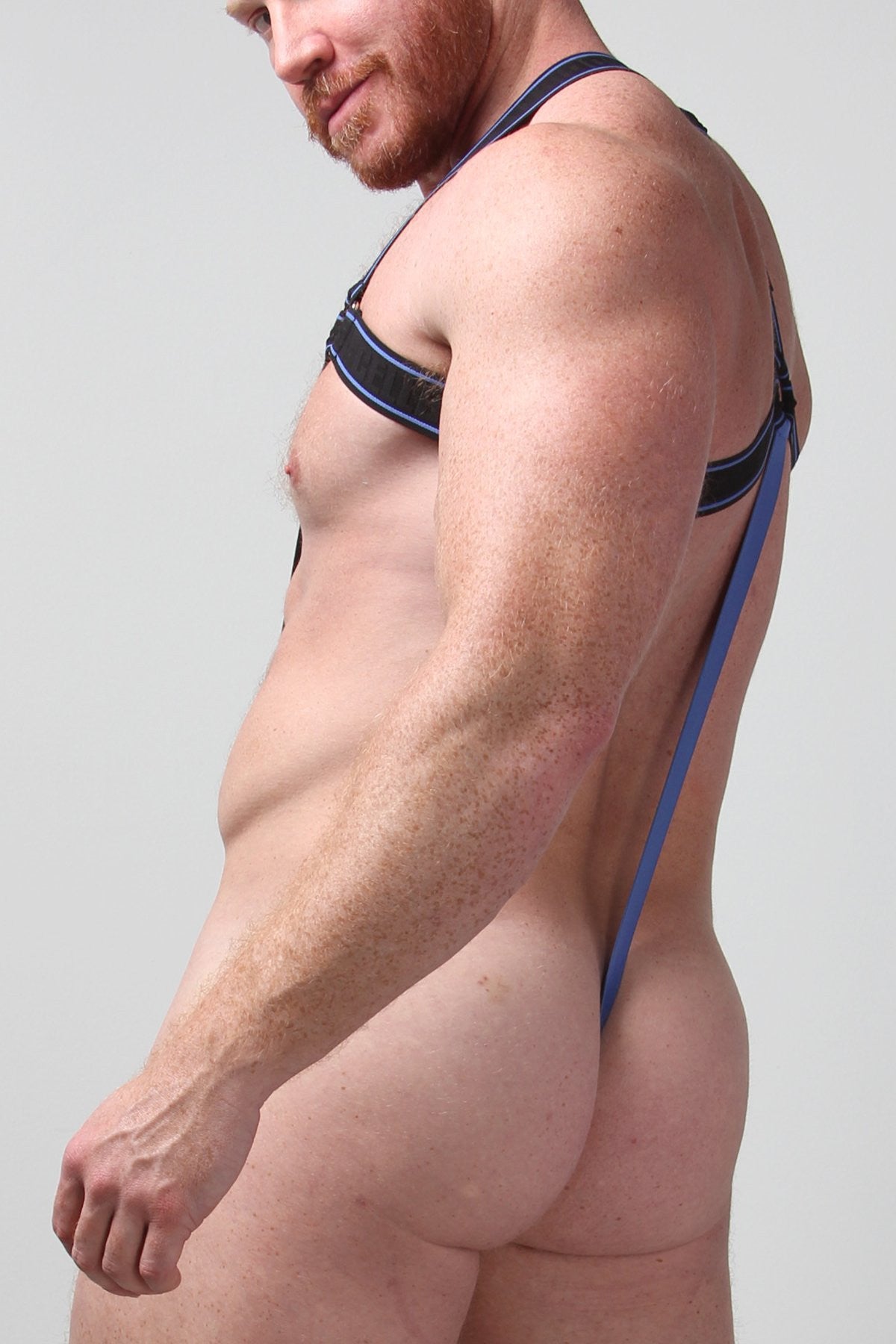 cellBlock 13 Blue Atlas Elastic Body Harness with C-Ring