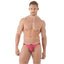 Gregg Homme Pink Mesh Suspender C-Ring Thong