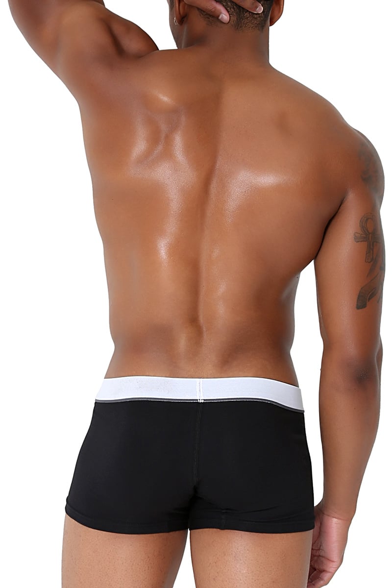 CORE Black Modern Basic Trunk