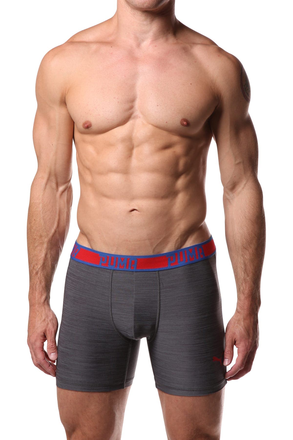PUMA Grey Stripe Boxer Brief