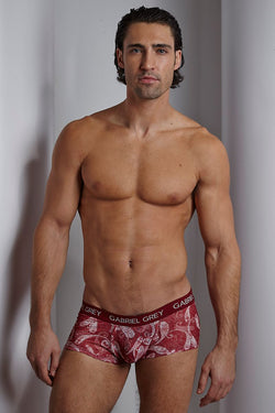 Gabriel Grey Red Paisley Boxer Brief thumbnail 1