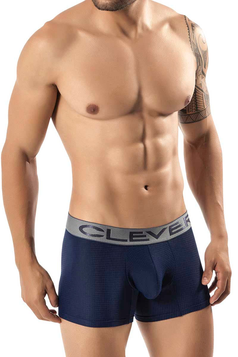 Clever Blue Burdeos Latin Boxer