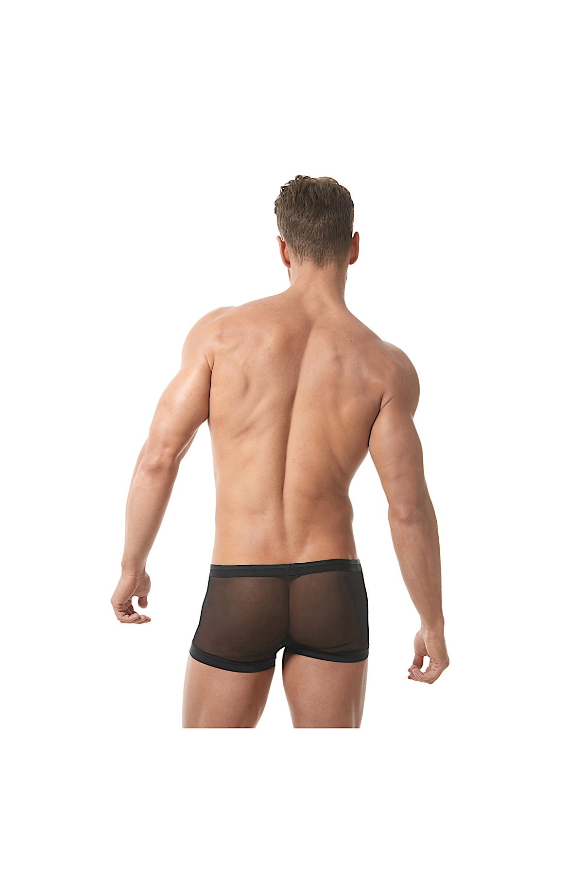 Gregg Homme Black Lust Mesh Velvet Trunk