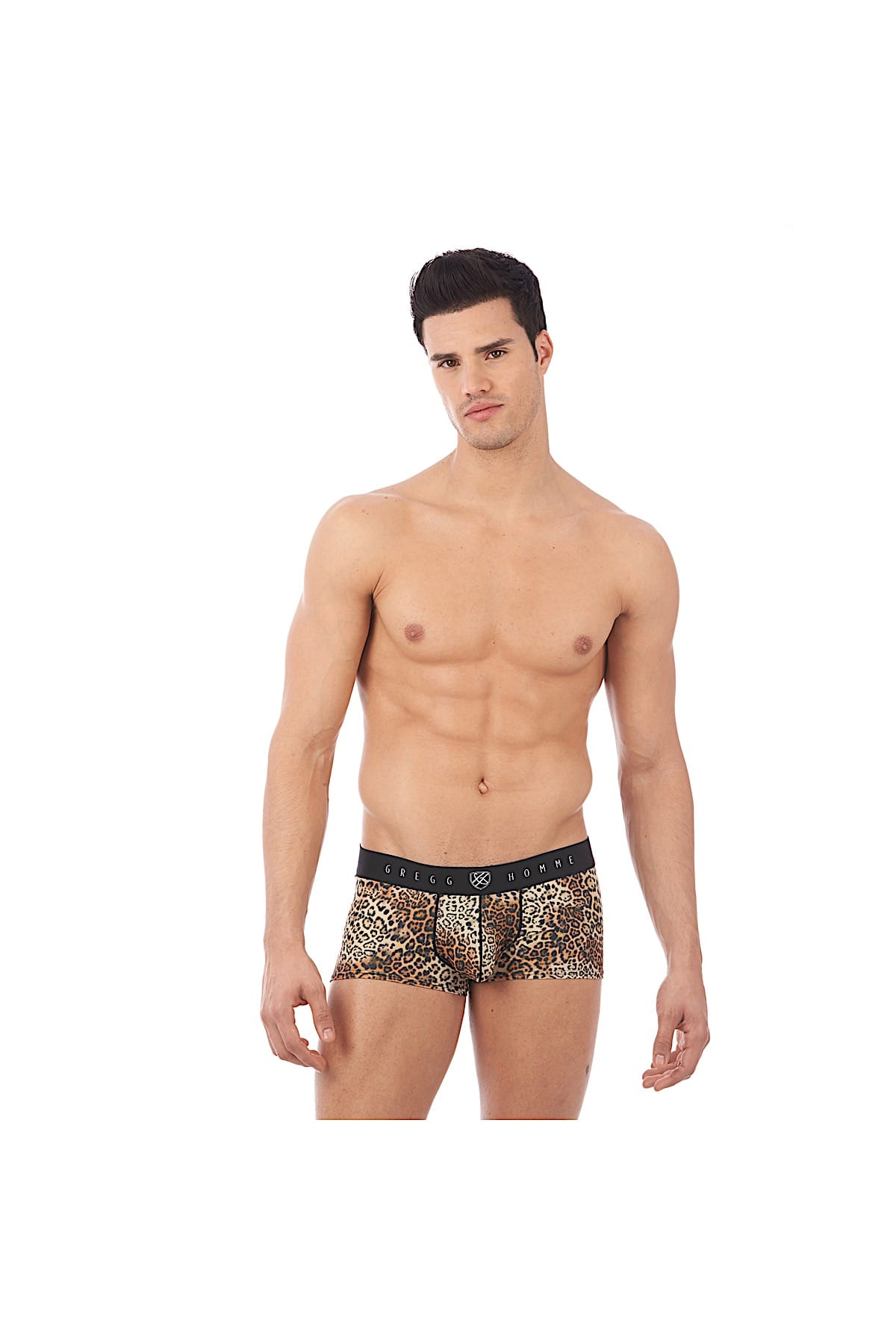 Gregg Homme Natural Desire Boxer Brief