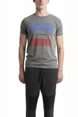 Rxmance Grey May 17th Crew Tee thumbnail 1