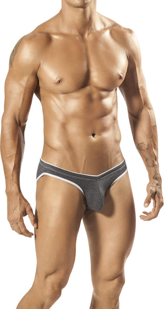 PPÜ Gray/White-Contrast Bikini Brief