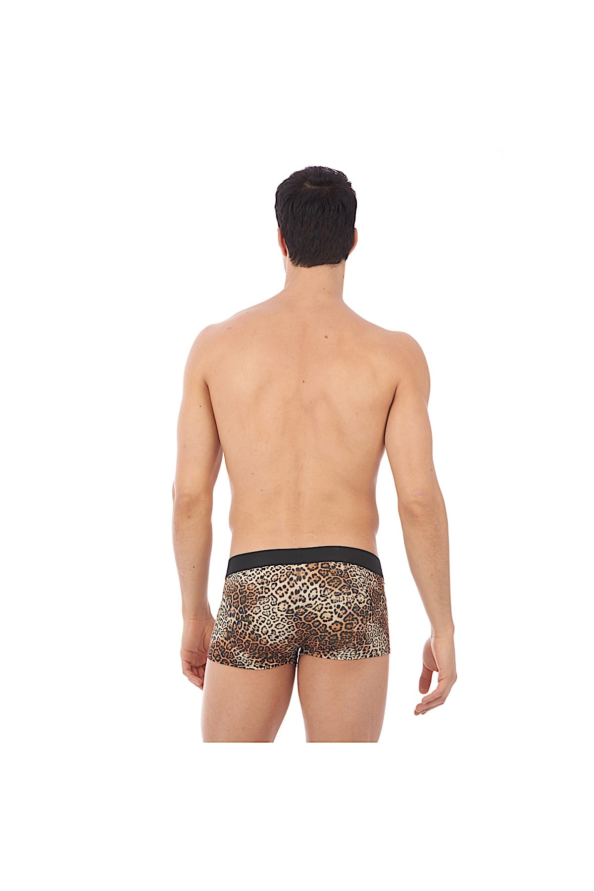 Gregg Homme Natural Desire Boxer Brief