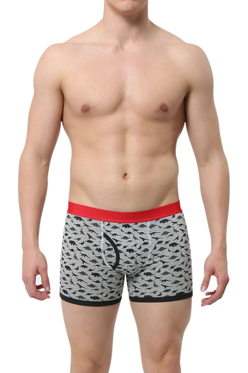 Basic Threads Dinosaur Boxer Brief 3-Pack