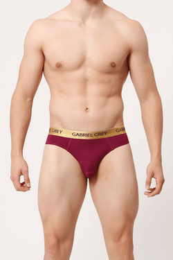 Gabriel Grey Cranberry Skin Brief thumbnail 2
