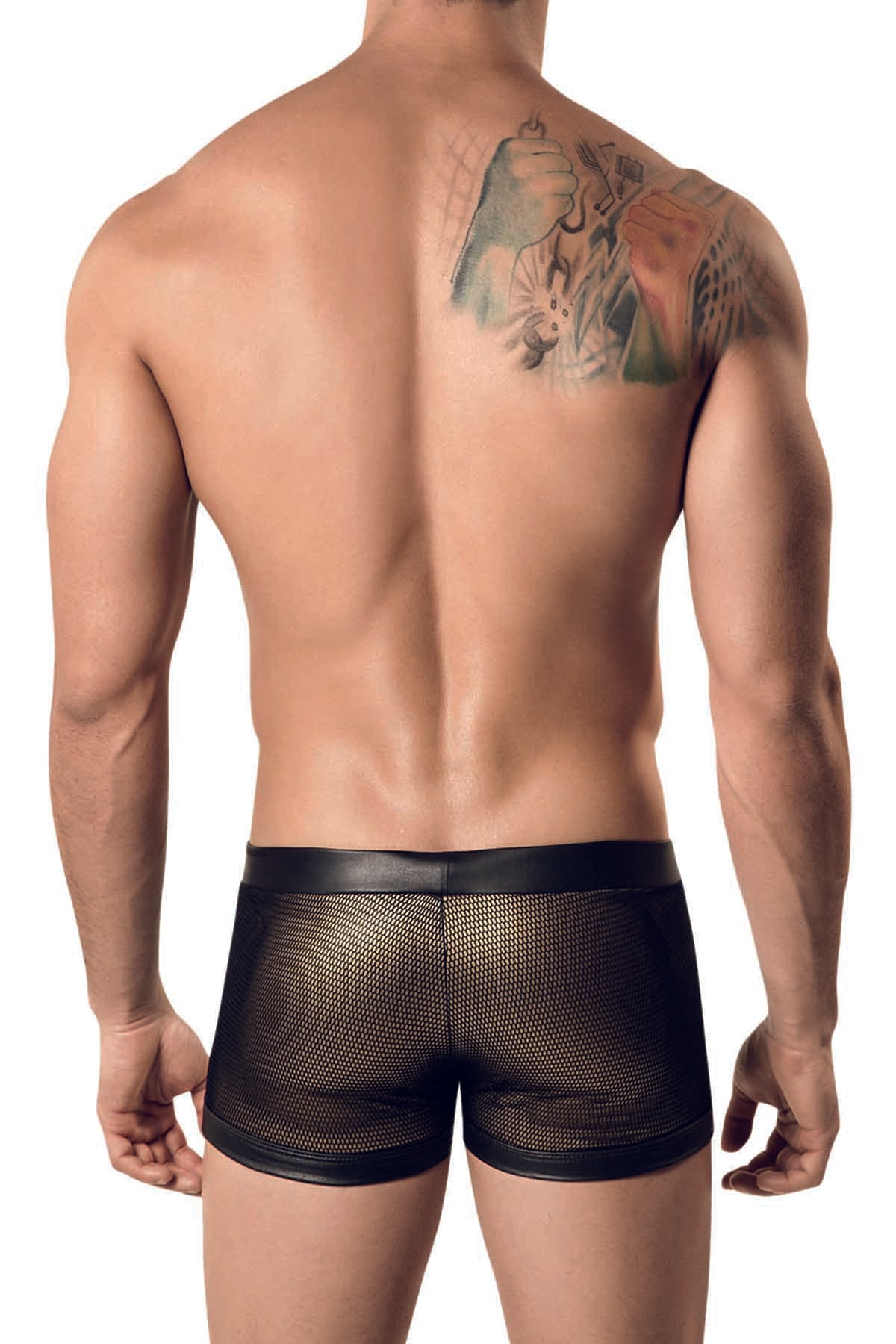 Pikante Gold Amadeus Boxer