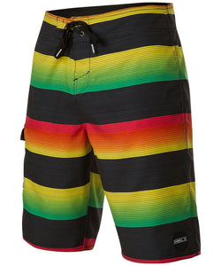 O'Neill Men's Santa Cruz Stripe Boardshorts thumbnail 1