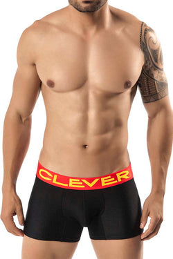 Clever Black Burdeos Latin Boxer thumbnail 1