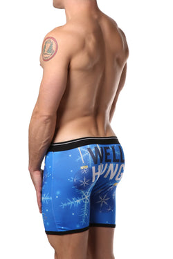 Balanced Tech Well Hung Ornaments Boxer Brief thumbnail 2