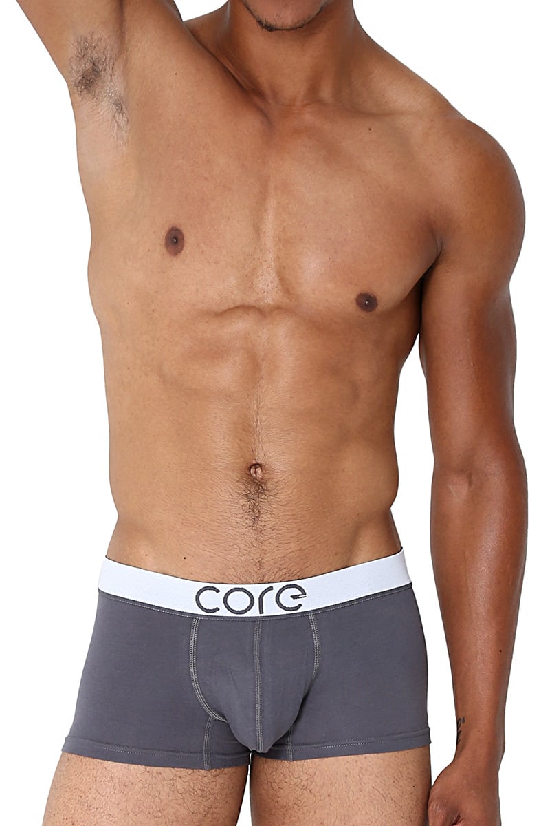 CORE Grey Modern Basic Trunk