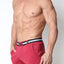 timoteo Burgundy Coronado Short
